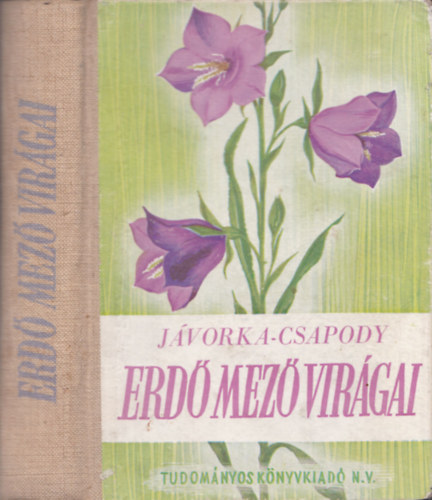dr. Jvorka Sndor-dr. Csapody Vera - Erd-mez virgai (A magyar flra sznes kis atlasza)