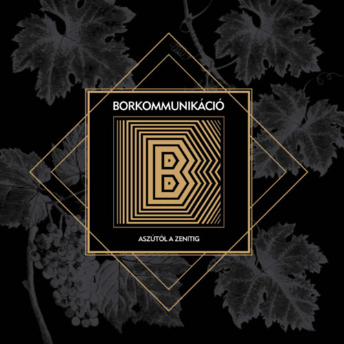 Borkommunikci
