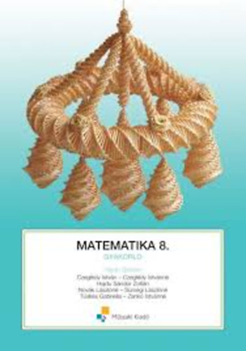 Hajd� S�ndor - Matematika 8.-gyakorl�
