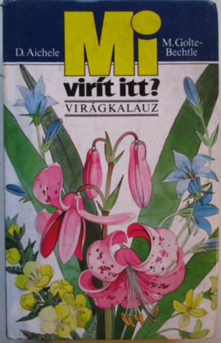 D. Aichele; M. Golte Bechtle - Mi virt itt? (virgkalauz)