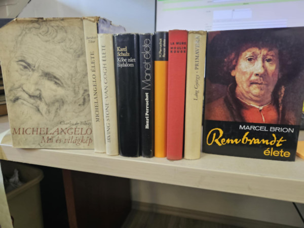 Charles de Tolnay, Barabás Tibor, Irving Stone, Karel Schulz, Henri Perruchot, Pierre La Mure, Láng György, Marcel Brion - 9db művészeti kötet, KÖNYVMENTŐ AJÁNLAT: Michelangelo- Mű és világkép+ Michelangelo élete+ Van Gogh élete+ Kőbe zárt fájdalom+ Manet élete+ Renoir élete+ Moulin Rouge+ Primavera+ Rembrandt élete
