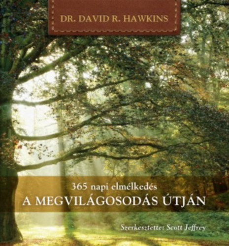 David R. Hawkins - 365 napi elmlkeds a megvilgosods tjn