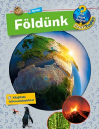 Andrea Erne - Fldnk