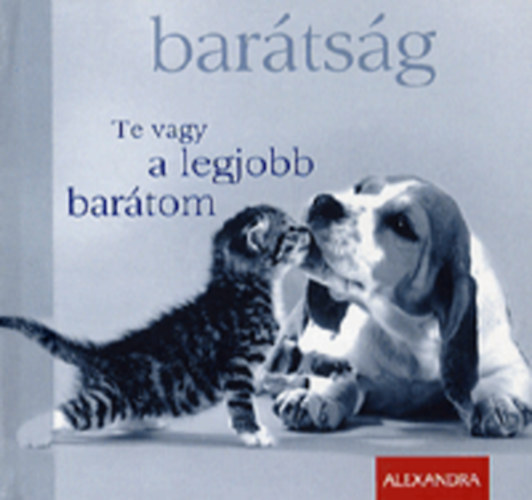 Chiara Doran - Bartsg - Te vagy a legjobb bartom