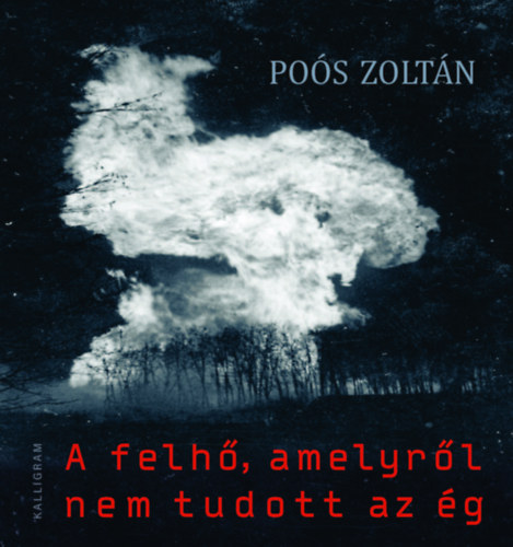 Po�s Zolt�n - A felh�, amelyr�l nem tudott az �g