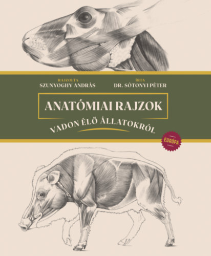 Stonyi Pter (szerkeszt) - Anatmiai rajzok vadon l llatokrl - Eurpa