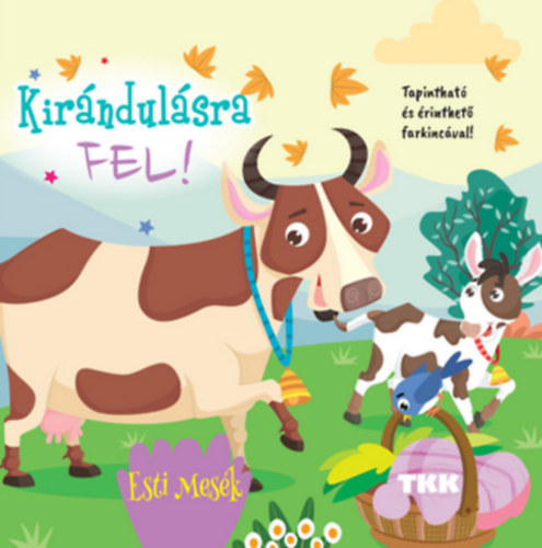 Kirándulásra fel!