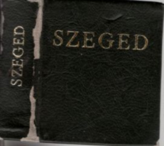 Papp Gyula (ellenrizte) - Andrusk Kroly fametszetei (Szeged) (miniknyv)