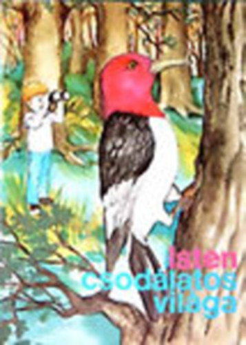 Bob Devine - Isten csodlatos vilga