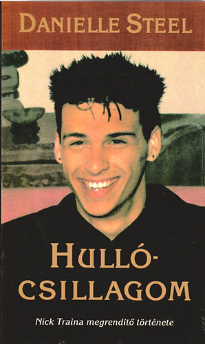 Danielle Steel - Hullócsillagom (Nick Traina megrendítő története)