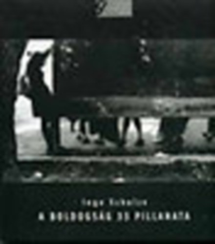 Ingo Schultze - A boldogsg 33 pillanata
