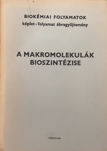 Antoni Ferenc (szerk.) - A makromolekulk bioszintzise