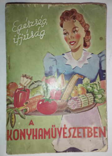 Telbiszn Temesvry Boriska - Egszsg, ifjsg a konyhamvszetben (hstalan szakcsknyv)