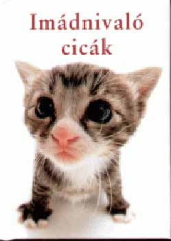 Stuart s Linda Macfarlane - Imdnival cick