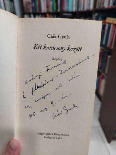 Csák Gyula - Két karácsony között