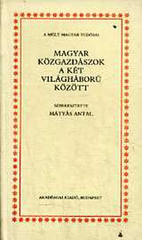 Mtys Antal szerk. - Magyar kzgazdszok a kt vilghbor kztt