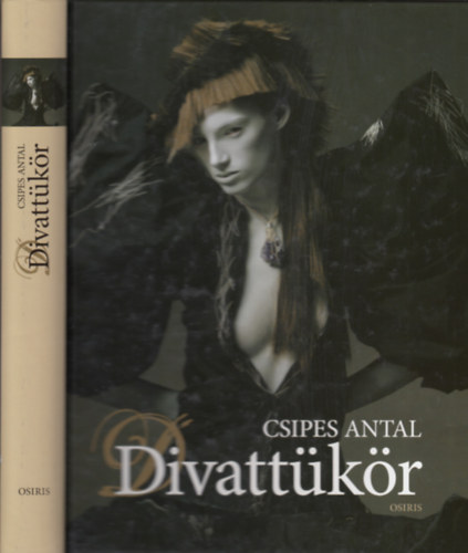 Csipes Antal - Divattükör