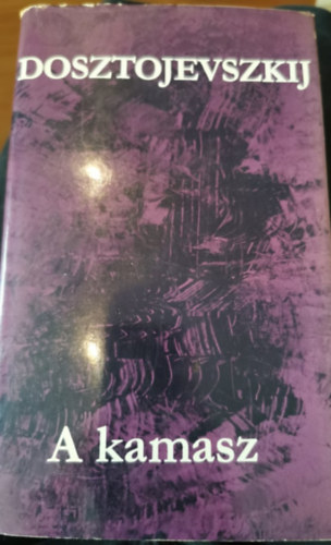 Fjodor Mihajlovics Dosztojevszkij - A Kamasz