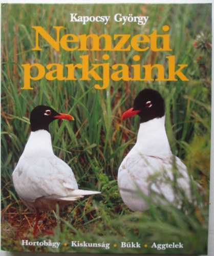 Kapocsy Gyrgy - Nemzeti parkjaink