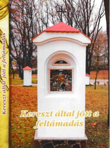 Stella Leontin, Hanusi Attila - Kereszt ltal jtt a feltmads