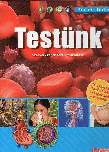 Testnk - Szervei, rendszere, funkcii