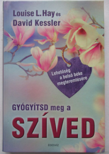 David Kessler, Louise L. Hay - Gyógyítsd meg a szíved