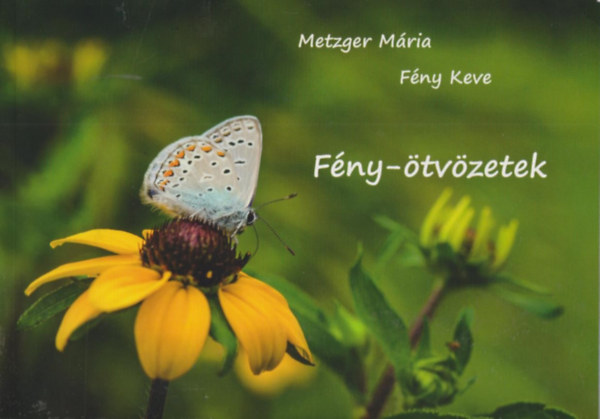 Metzger Mria, Fny Keve - Fny-tvzetek
