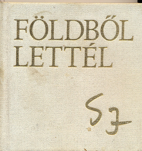 Bihari Jzsef (szakszerkeszt) - Fldbl lettl - Somogyi Jzsef (terrakottk, bronzok, rmek, rajzok)