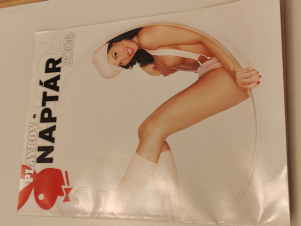 ismeretlen - Playboy naptár 2006