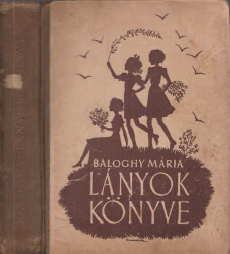 Baloghy Mria - Lnyok knyve