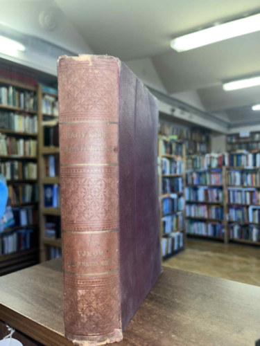 Marczali Henrik - Nagy kpes vilgtrtnet 7.:Az jkor - I.:A reformatio kora