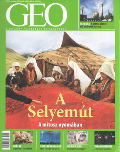 Kosz-Stammberger Kinga (szerk.) - GEO 2008. jnius