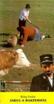Rideg Sndor - Indul a bakterhz