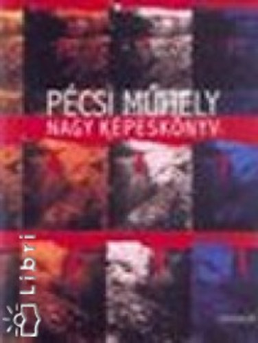 A Pécsi Műhely nagy képeskönyve