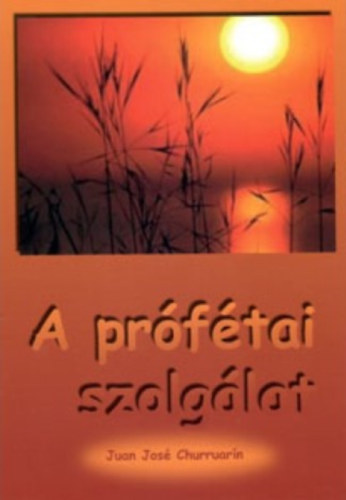 Juan Jos Churruarn - A prftai szolglat