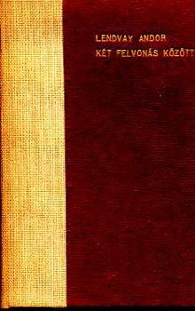 Lendvay Andor - K�t felvon�s k�z�tt