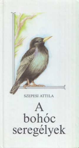 Szepesi Attila - A bohc sereglyek