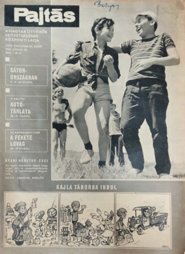 Vasvri Ferenc (szerk.) - Pajts XXIII. vfolyam 24. szm (1968)