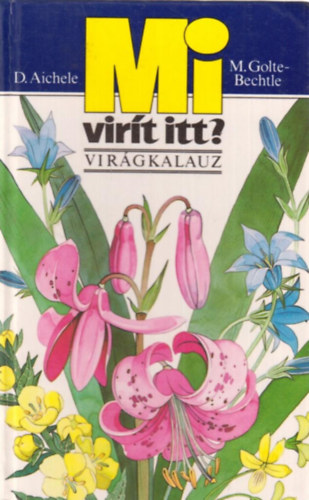 Bechtle, M.golte, Aichele, Dietmar - Mi virít itt? (virágkalauz)