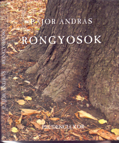 Pajor András - Rongyosok