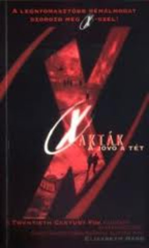 Elizabeth Hand - X aktk - A jv a tt