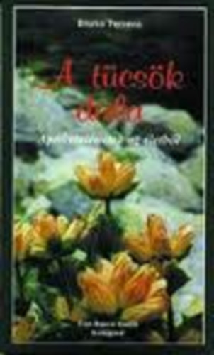 Bruno Ferrero - A t�cs�k dala (Apr� t�rt�netek az �letb�l)