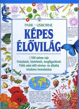 Kpes lvilg - Usborne