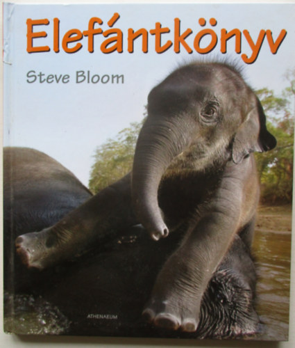Steve Bloom - Elefántkönyv