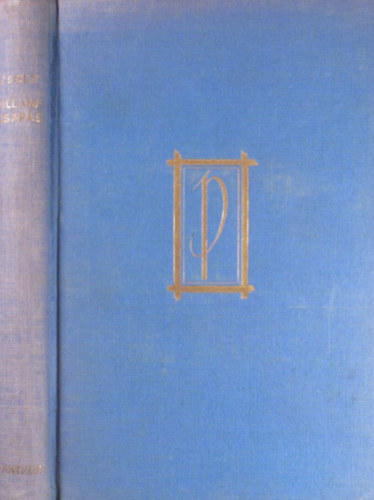 Zsolt Béla - Villámcsapás