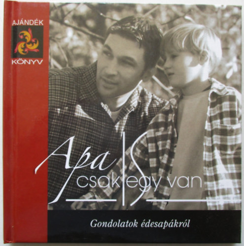 Apa is csak egy van - Gondolatok �desap�kr�l