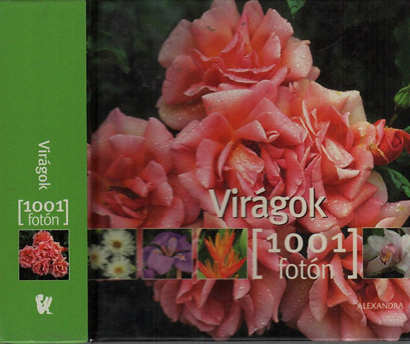 Virgok 1001 fotn