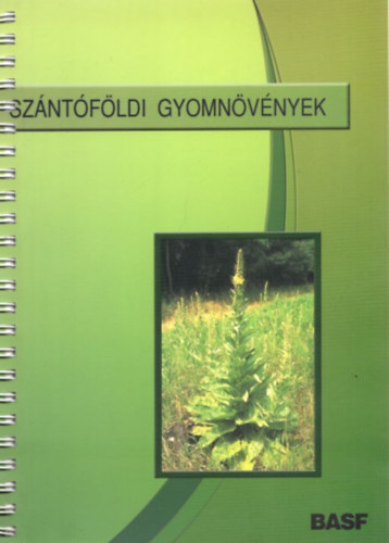 Sz�nt�f�ldi gyomn�v�nyek