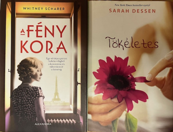 Sarah Dessen, Whitney Scharer - Kalandregny knyvcsomag (2 ktet)