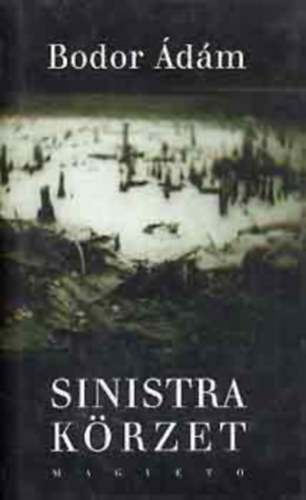 Sinistra k�rzet
